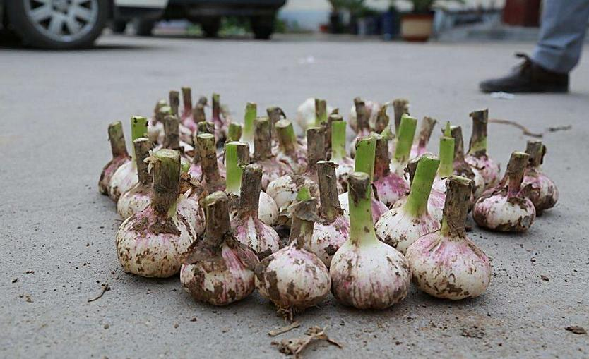 圖片 1.png 圖片 1.png