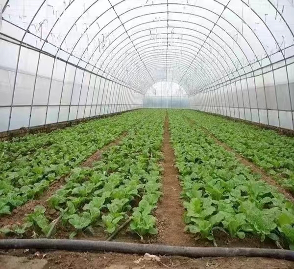 31dab0345976d2df14d3a7604461ea7.jpg 31dab0345976d2df14d3a7604461ea7.jpg